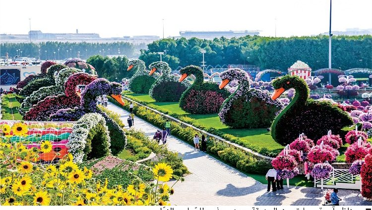 بداية فصل الربيع اليوم في الإمارات