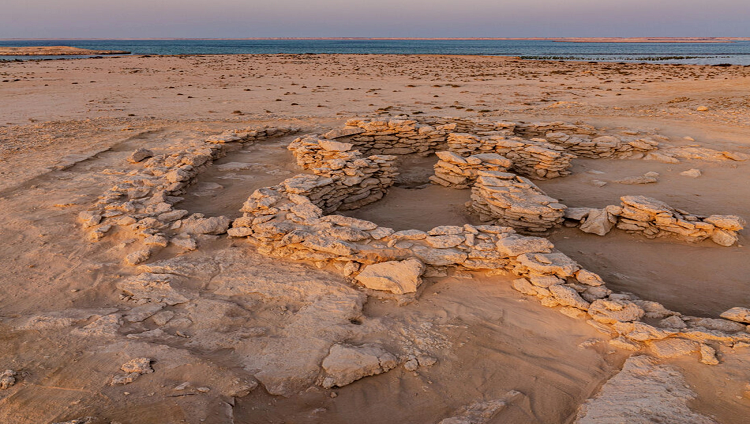اكتشافات أثرية جديدة في أبوظبي تعود لأكثر من 8500 عام