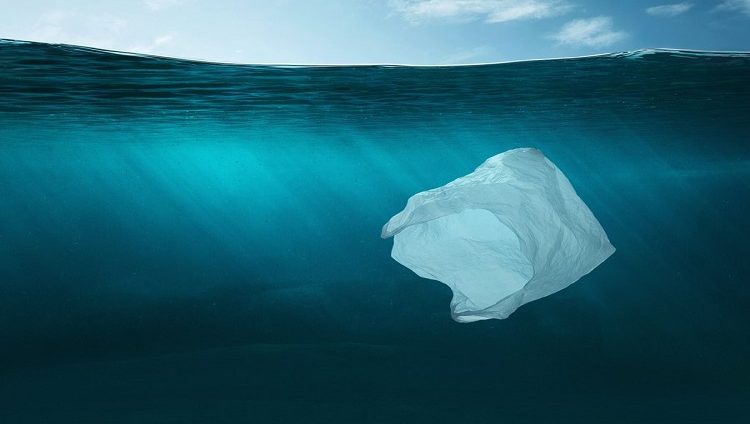 “بيئة أبوظبي” تعرف باللائحة التنفيذية بشأن تنظيم استخدام المواد البلاستيكية المستخدمة لمرة واحدة