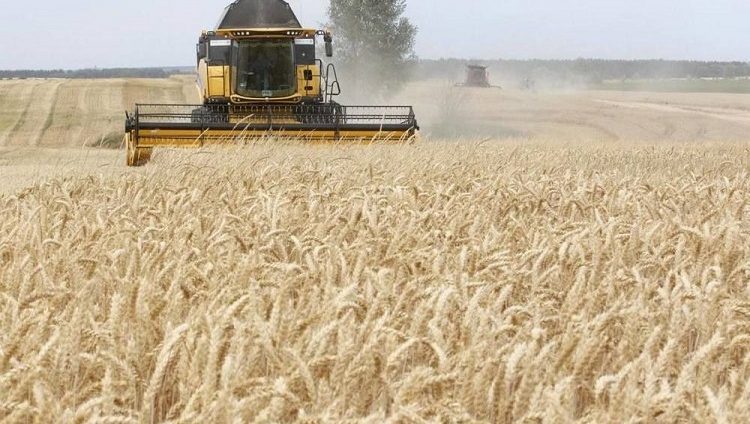 الاتحاد الإفريقي يُشيد باتفاق روسيا وأوكرانيا لاستئناف تصدير الحبوب