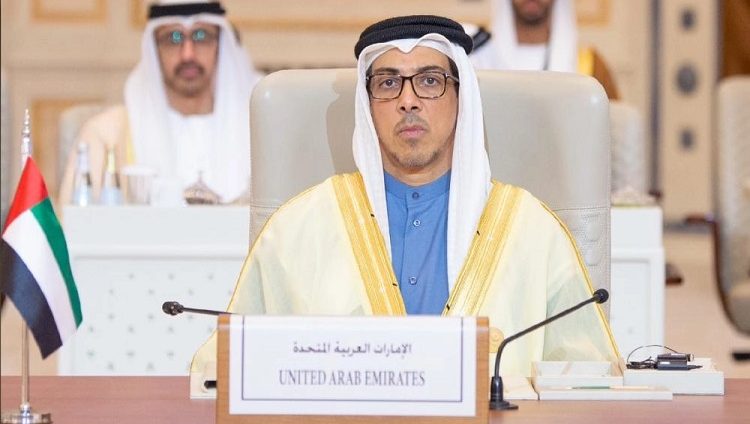 منصور بن زايد: الإمارات تدعم كل التحركات الدبلوماسية لصالح حماية المدنيين في غزة