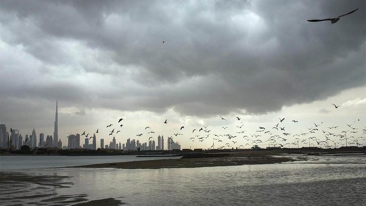 «الأرصاد» يتوقع سقوط أمطار في الإمارات يومي الأحد والاثنين المقبلين