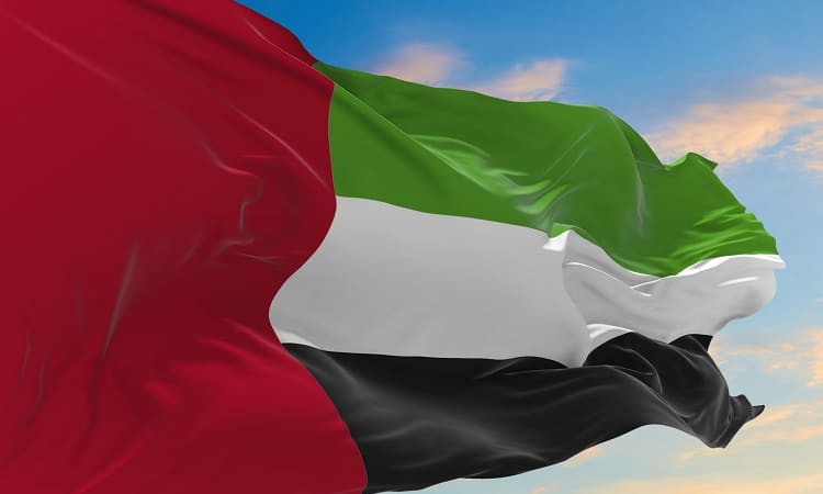 بيان مشترك لدول ومنظمات إسلامية وعربية تُدين تصريحات السفير الأمريكي