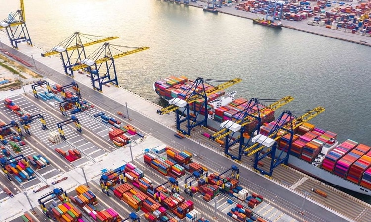 الإمارات ترسخ مكانتها كمحور عالمي لسلاسل الإمداد وتدعم الأمن الغذائي إقليميا ودوليا